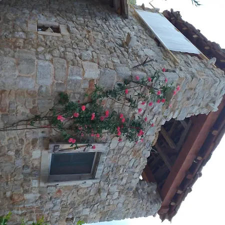 House Lavanda *